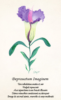 Herbier de la sorciere libre Aquarelle CatMat 2024 Fleur imaginaire